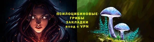 СК Тихорецк