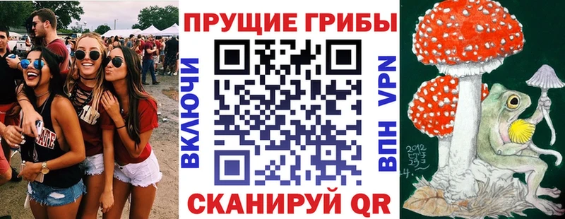 Галлюциногенные грибы GOLDEN TEACHER  Петрозаводск 